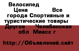 Велосипед Viva Castle › Цена ­ 14 000 - Все города Спортивные и туристические товары » Другое   . Челябинская обл.,Миасс г.